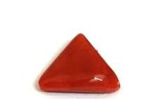 Red Coral/ Laal Munga 5.75 Carats