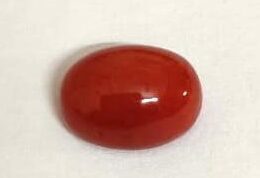 Red Coral/ Laal Munga 6.05 Carats
